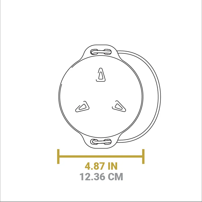 Heat-Treated Cast Iron Mini Kettle